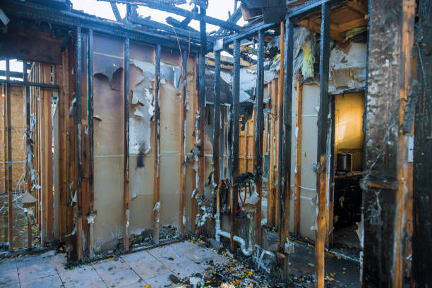 Professional Fire Damage Removal technician working in Garrett Park, MD