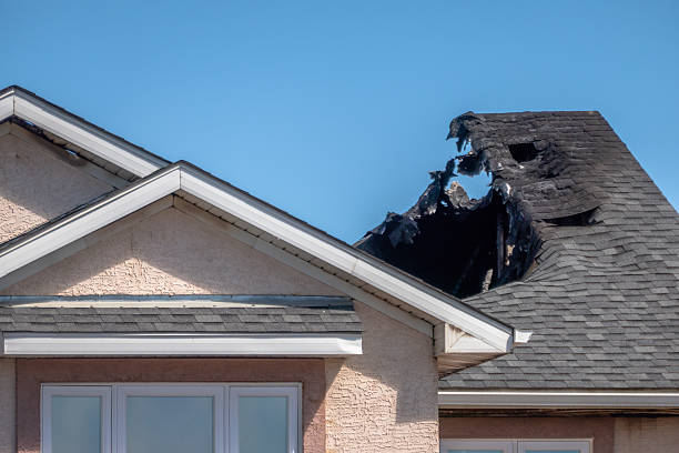 Top rated local Fire Damage Removal specialists in Garrett Park, MD